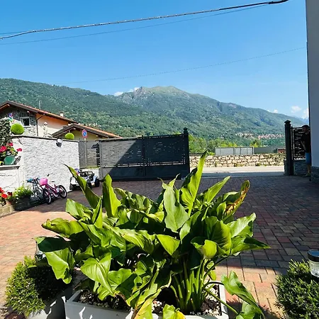 Felix * Omegna